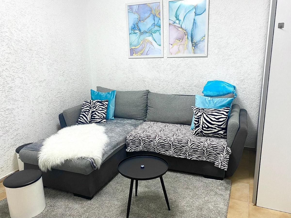 Top Apartment Saarbruecken City Bagian luar foto